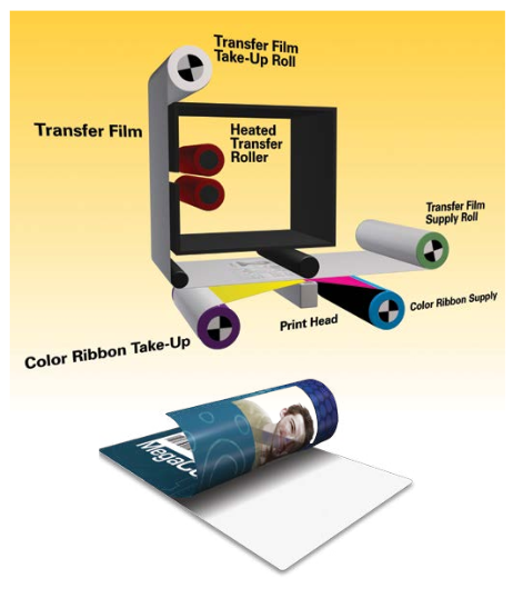 How Does an Reverse Transfer Printer Work