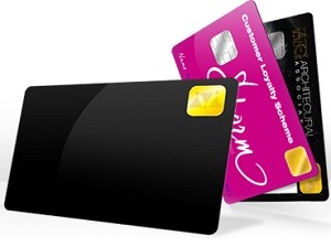 Blank PVC Cards with HoloPatch Hologram -500 pack